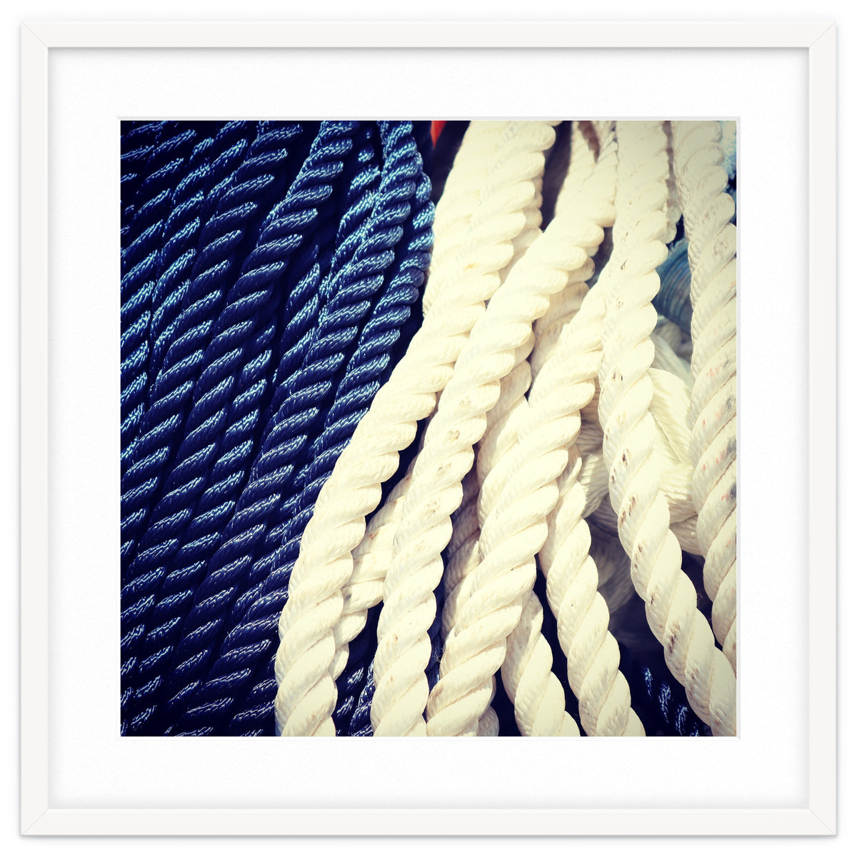 Blue and white fishing rope