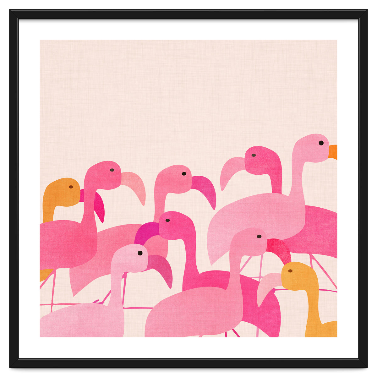 Florida Flamingos