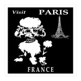 Paris France Travel Poster (Print Only) thumbnail