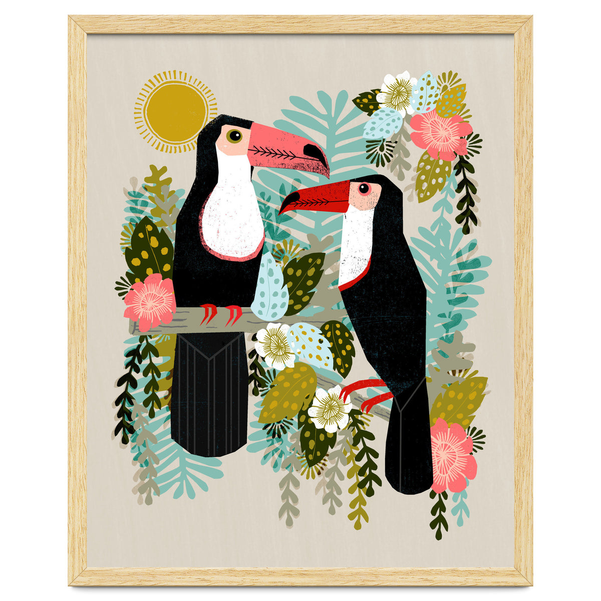 Toucans