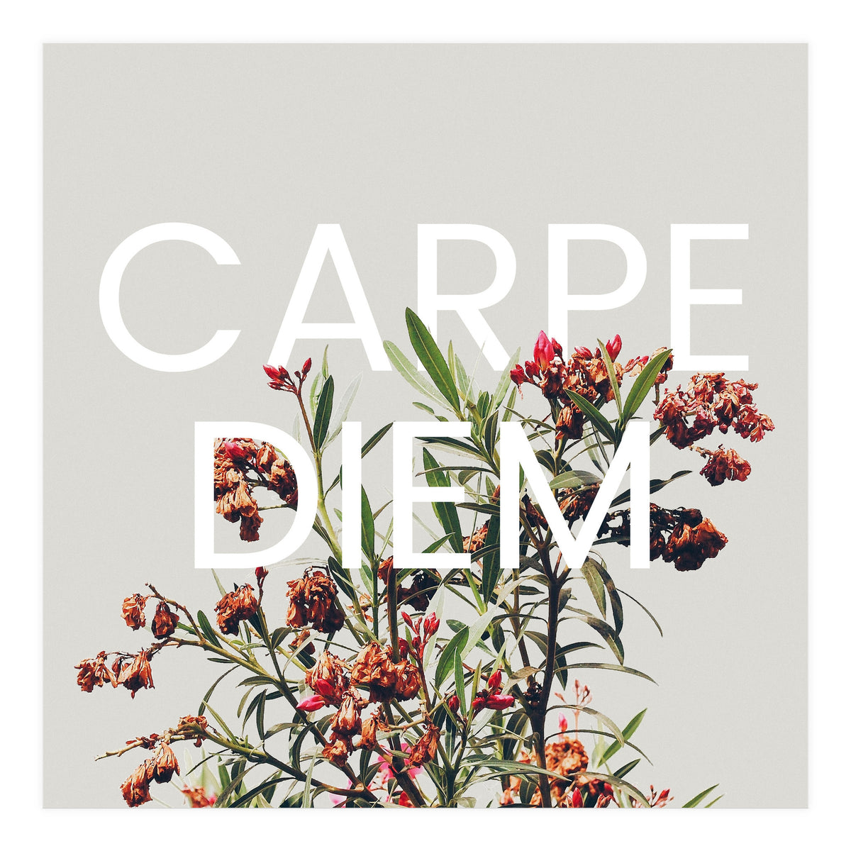 Carpe Diem (Print Only)