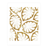 Monstera Gold (Print Only) thumbnail