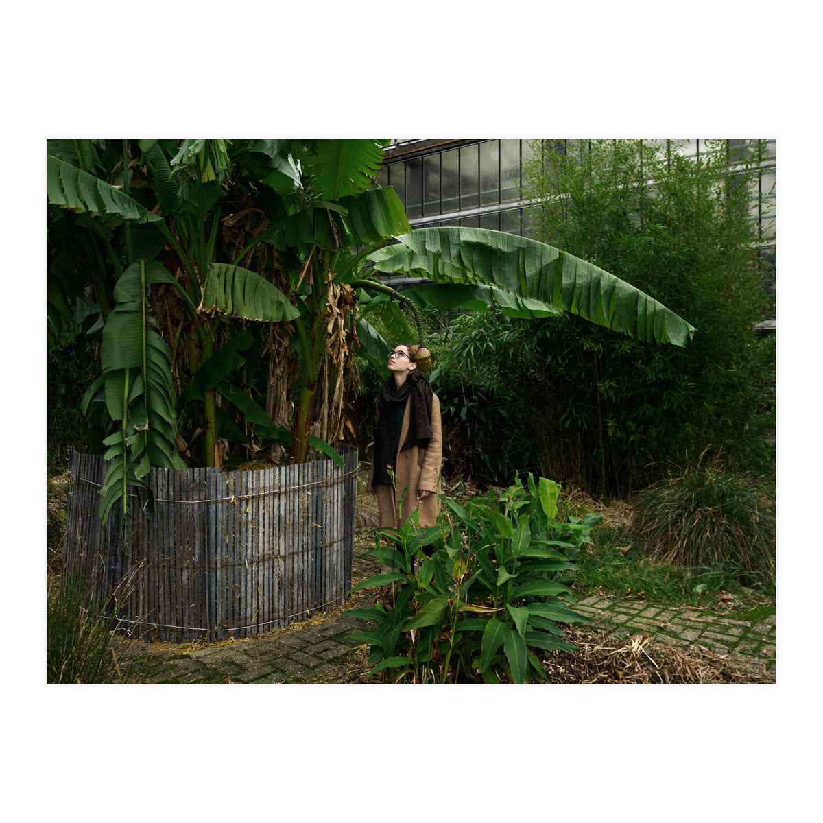 Transition from Summer to Winter (Print Only)