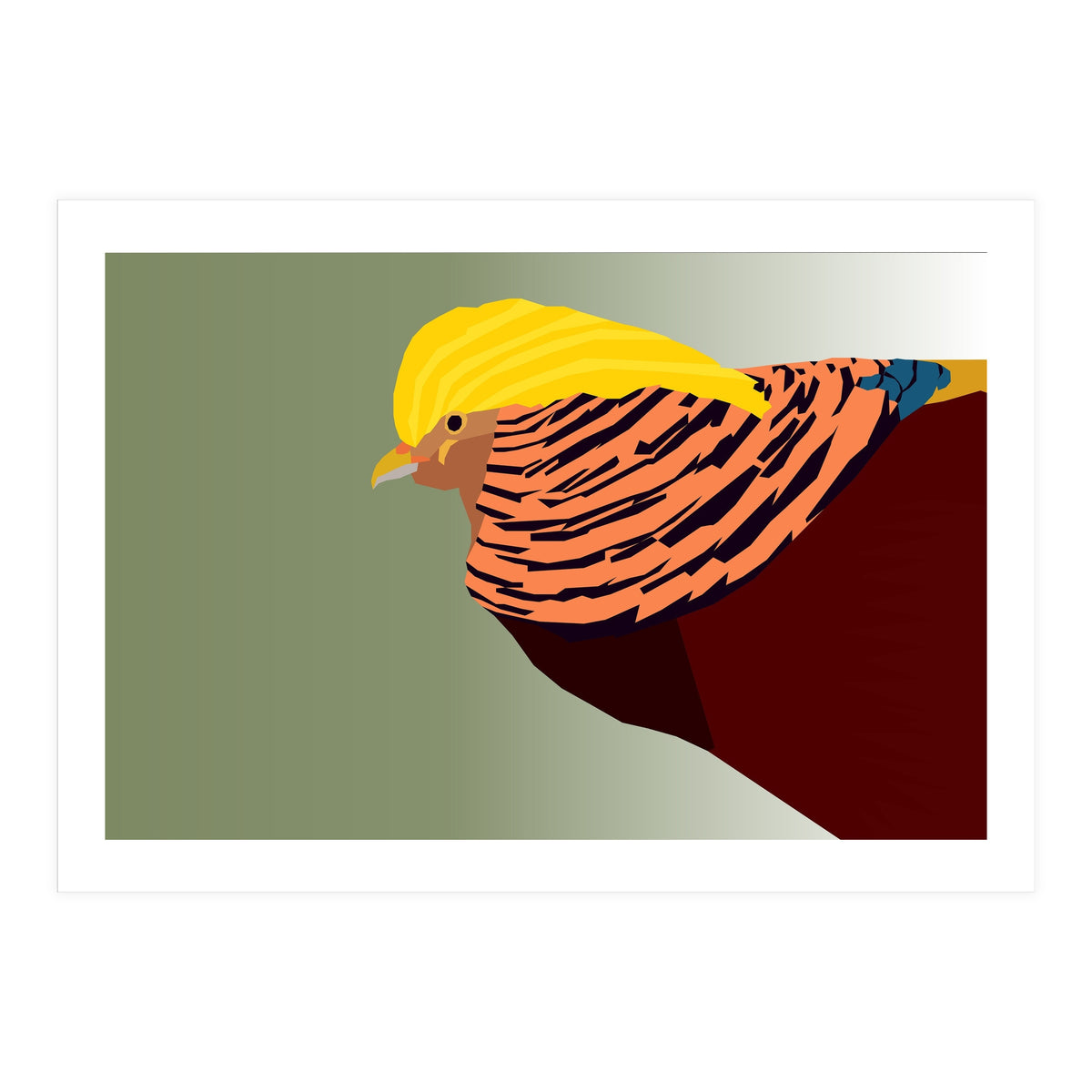 Golden Pheasant Bird Art (Print Only)