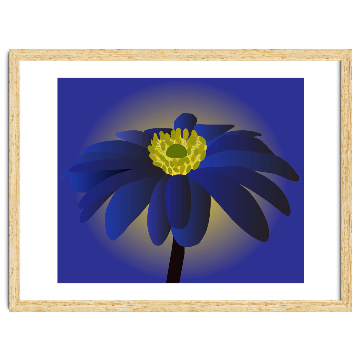 Anemone Blanda Flower Art