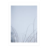 Forgotten Memories of Summer #20 (Print Only) thumbnail