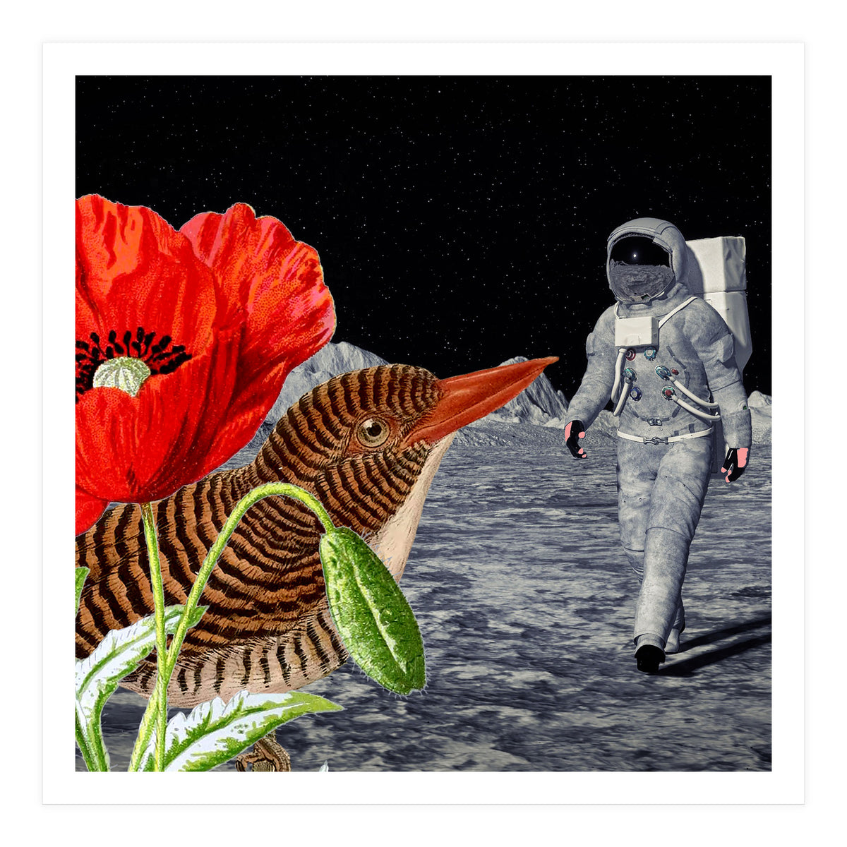 Bird On The Moon  (Print Only)