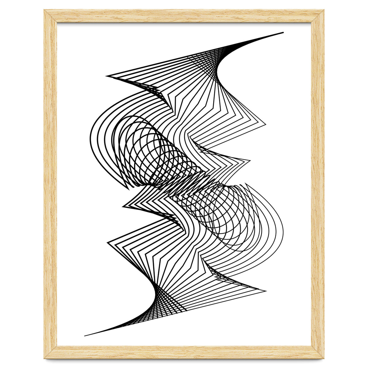 Organized Chaos_White