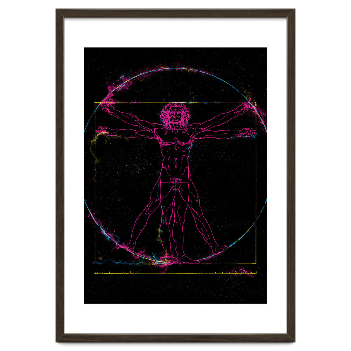 Vitruvian Man