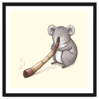 Koala Playing a Didgeridoo