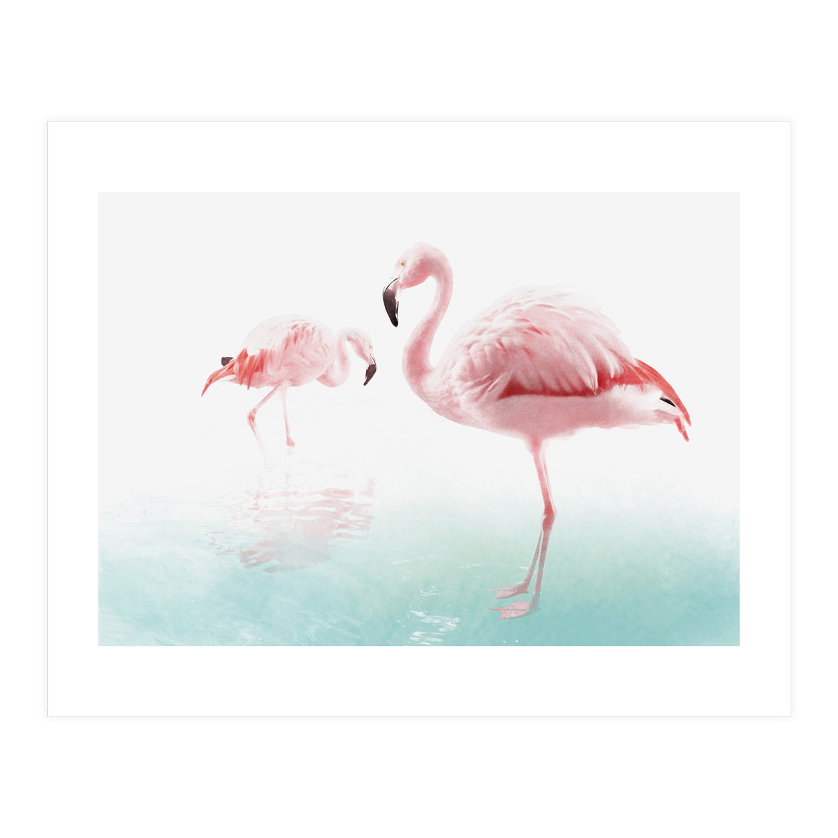 Flamingos (Print Only)