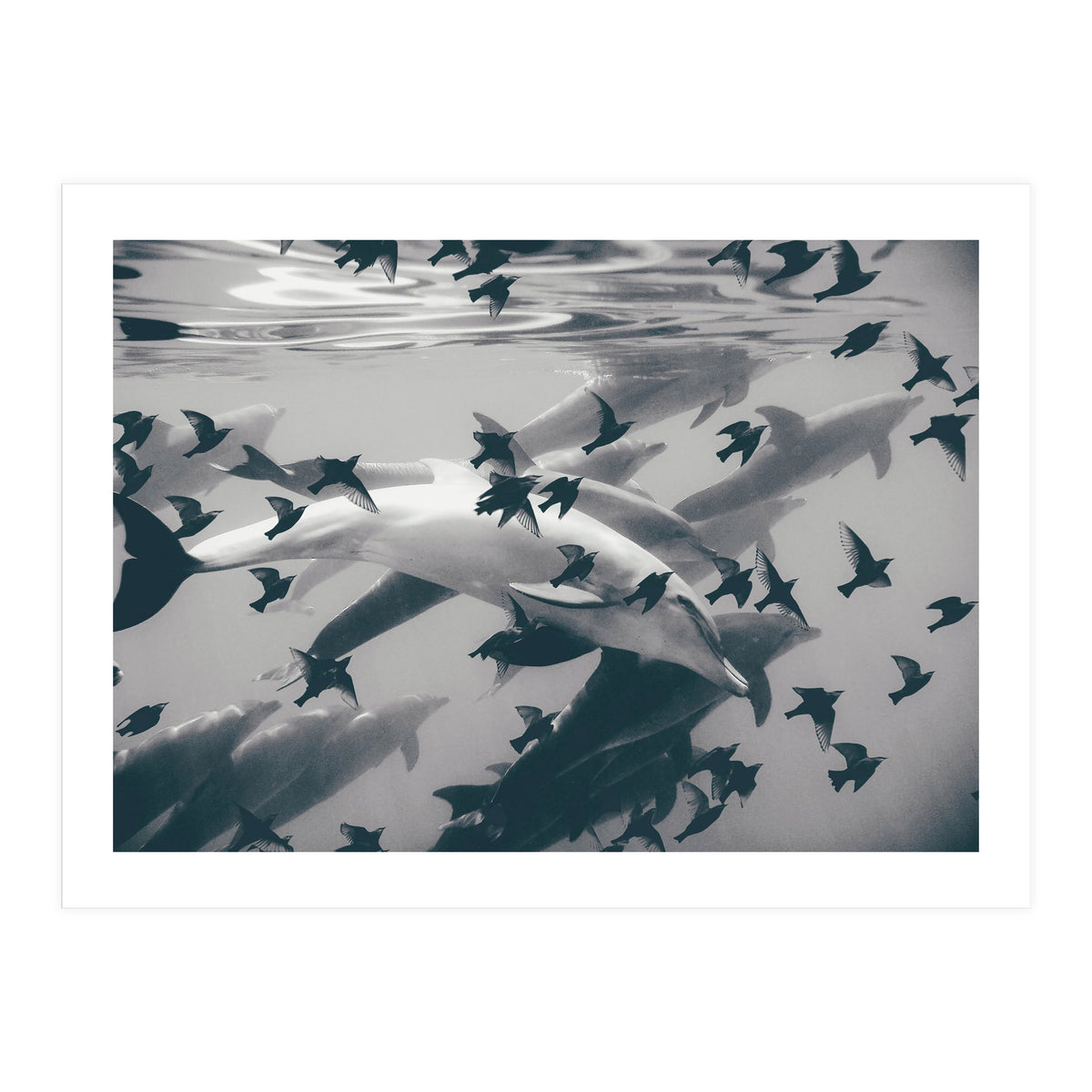 Found Out (Print Only)