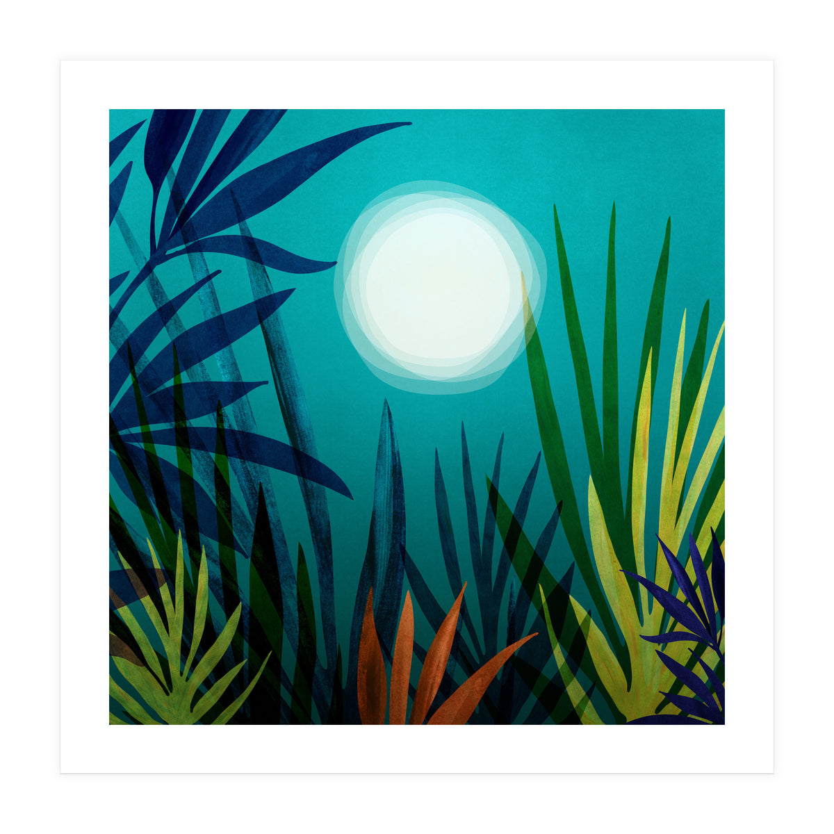 Midnight In The Jungle (Print Only)