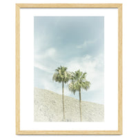 Palm Trees in the desert | Vintage