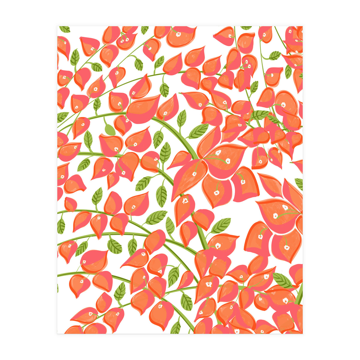 Bougainvillea Blush (Print Only)