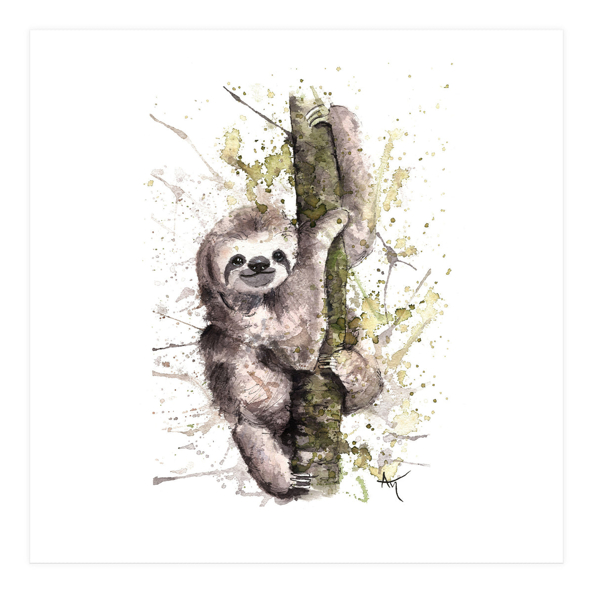 Sloth - Wildlife Collection (Print Only)