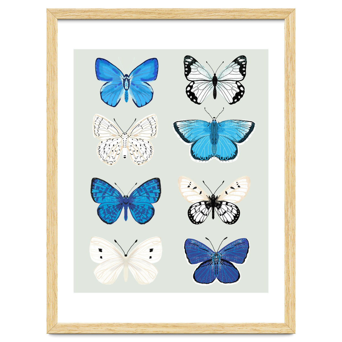 Lepidoptery Study No. 3