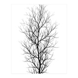 The Tree Black (Print Only) thumbnail