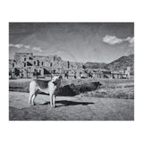 Taos (Print Only) thumbnail
