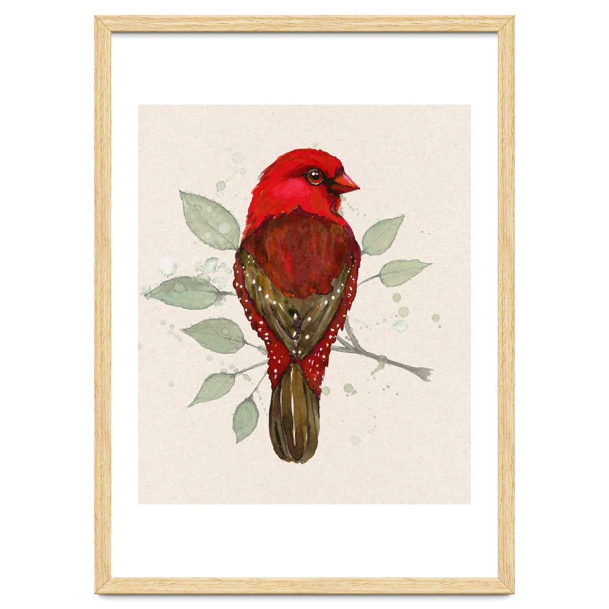 Red avadavat watercolor
