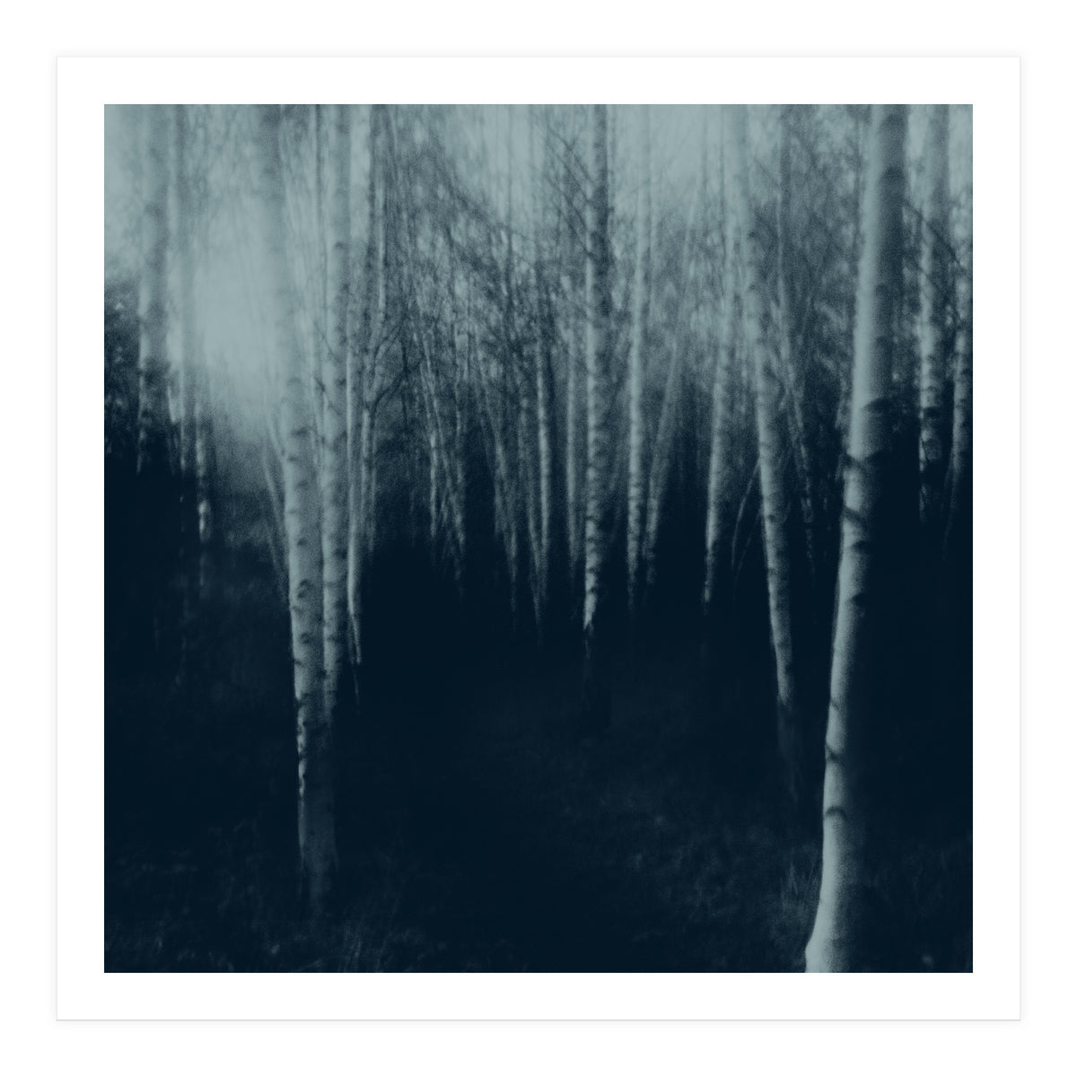 deep veins III (Print Only)