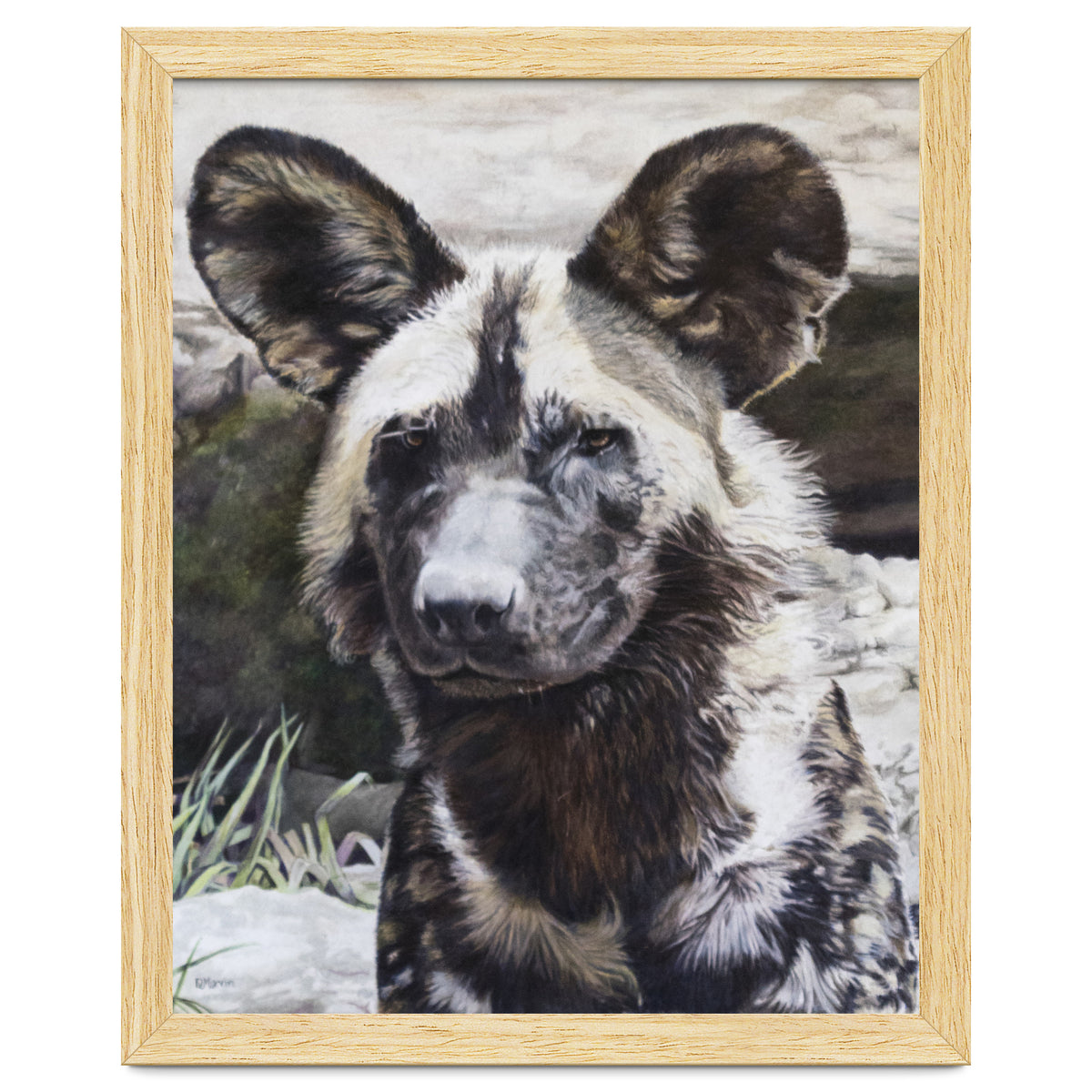 African Painted Dog II