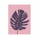 Monstera Deliciosa III (Print Only) thumbnail