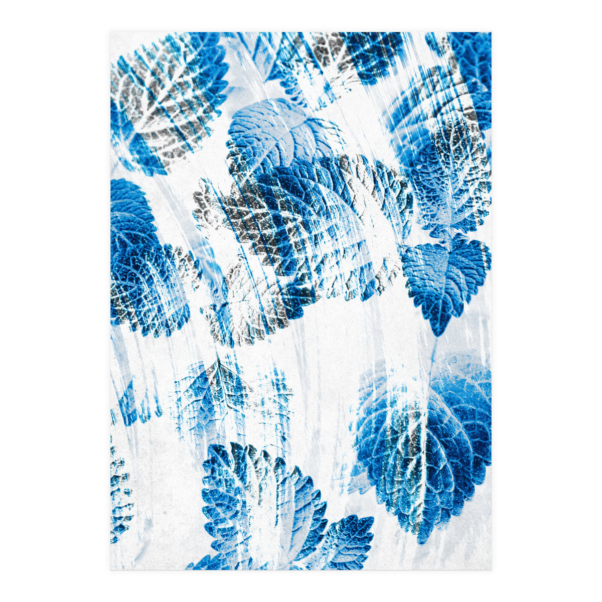 Raining Forest No5 (Print Only)