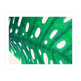 Foliage V2 (Print Only) thumbnail