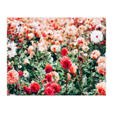 Meadow (Print Only) thumbnail