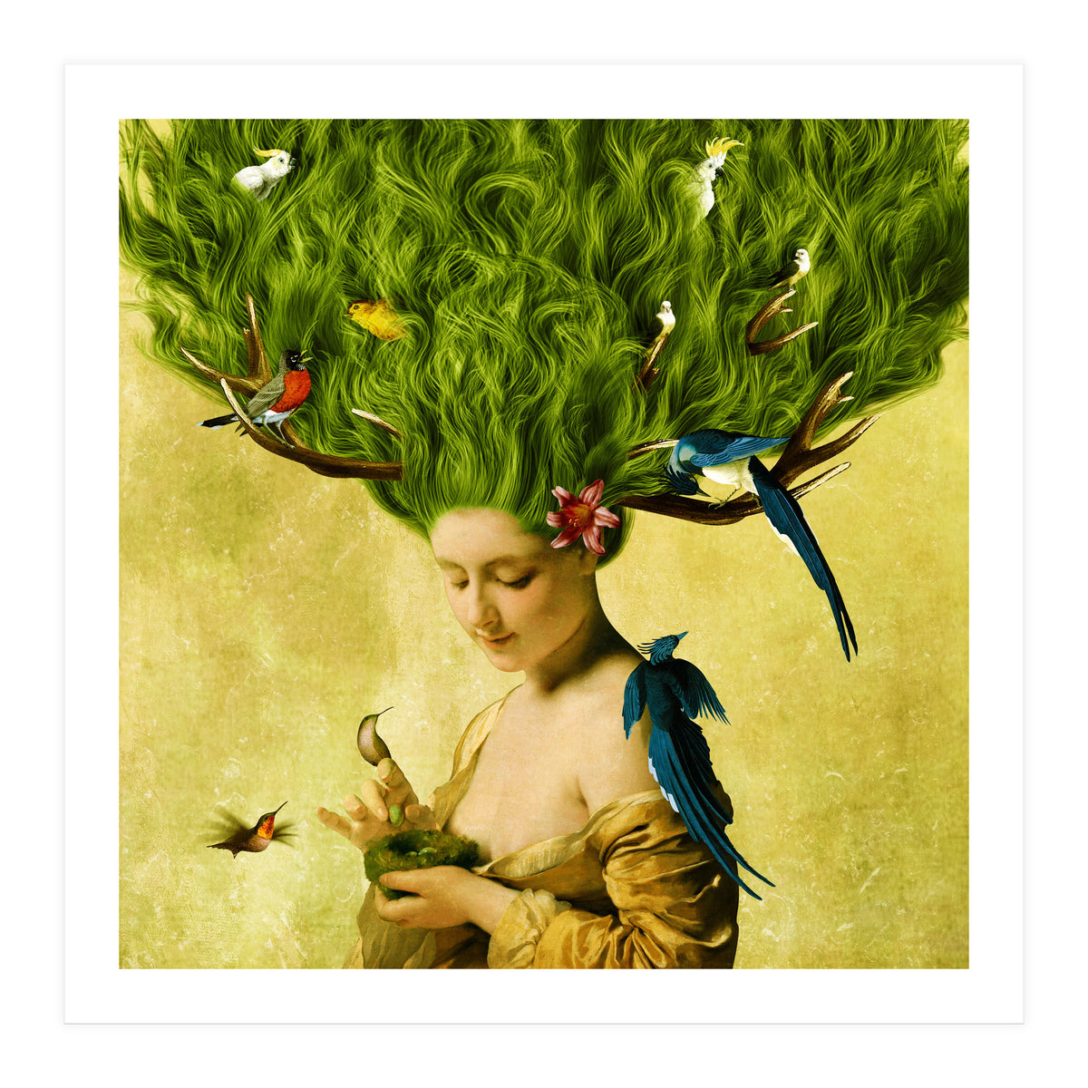 Safe Haven (Print Only)