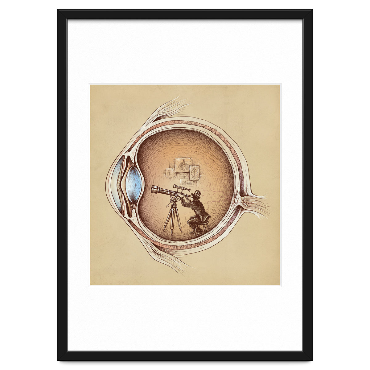 Extraordinary Observer