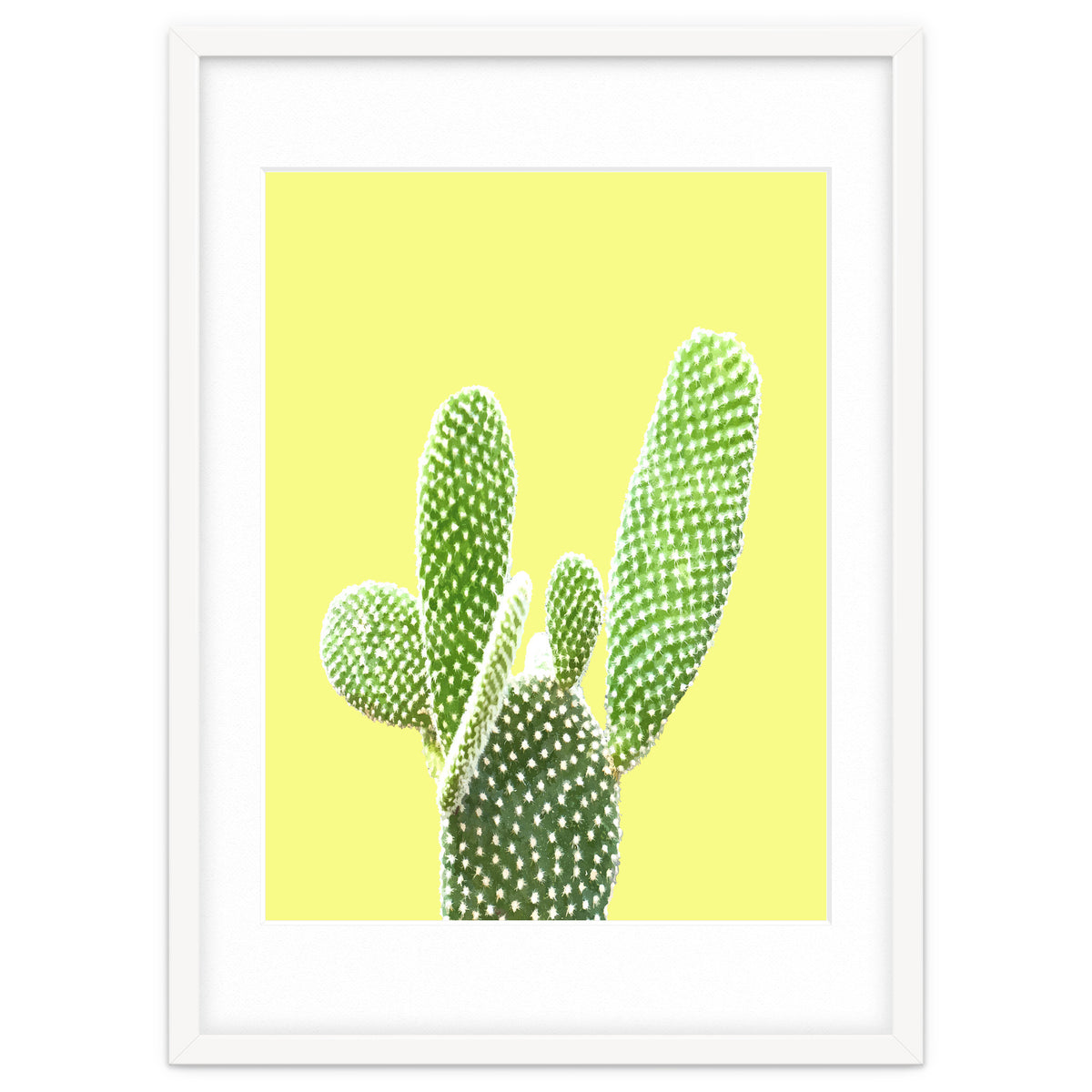 Cactus Yellow Background