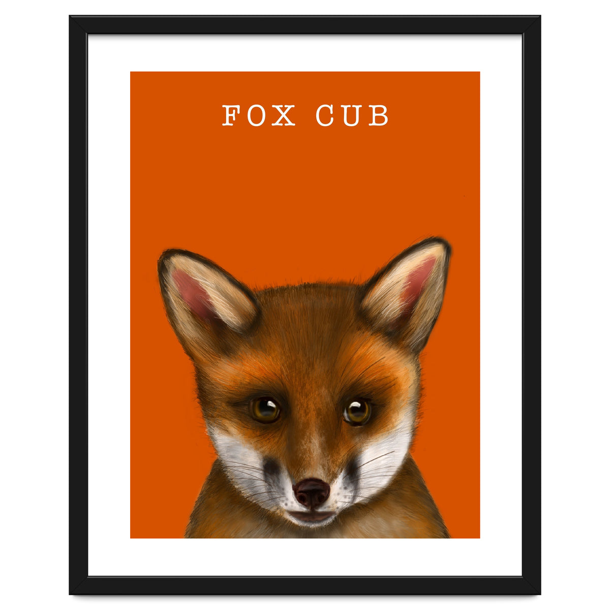 Fox Cub