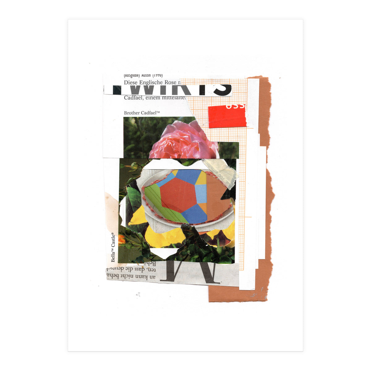 Abstract 1505 (Print Only)