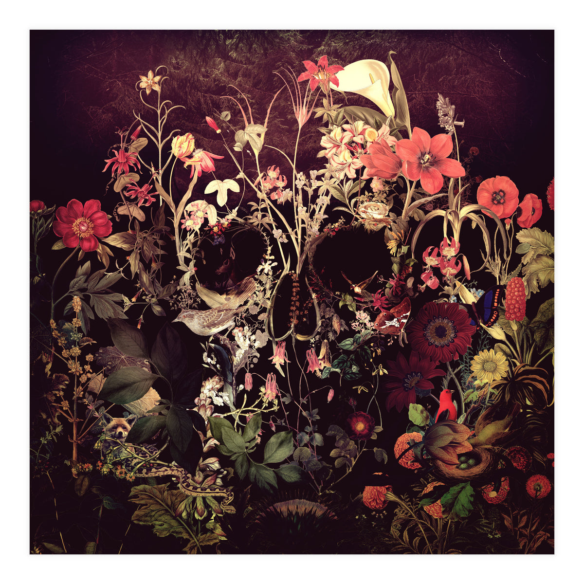 Bloom Skull (Print Only)