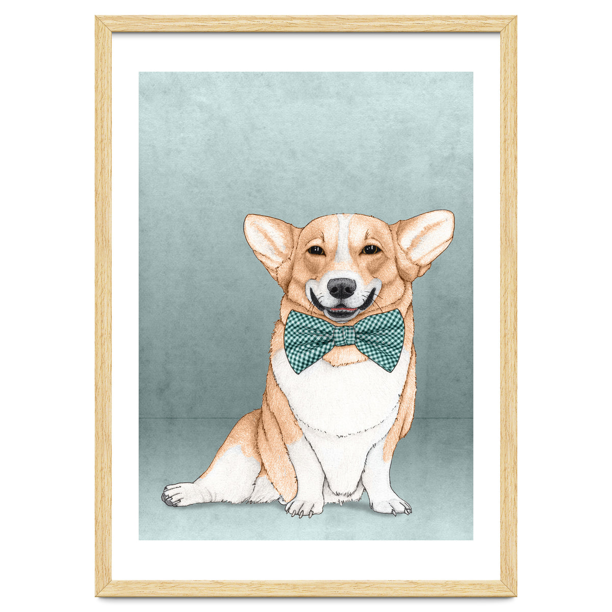 Corgi Dog