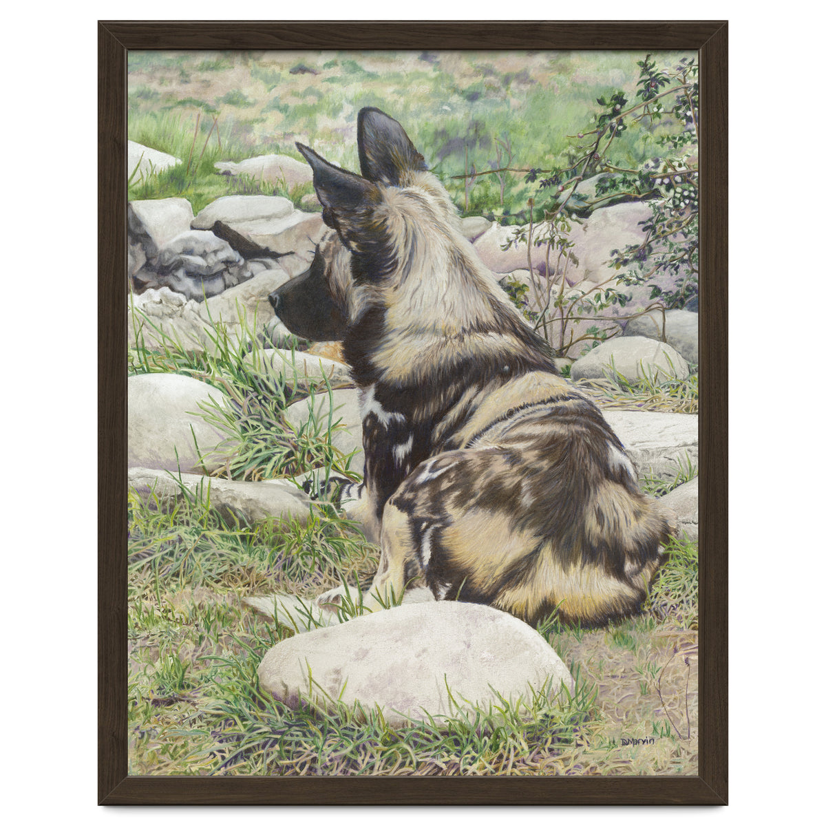 African Painted Dog I
