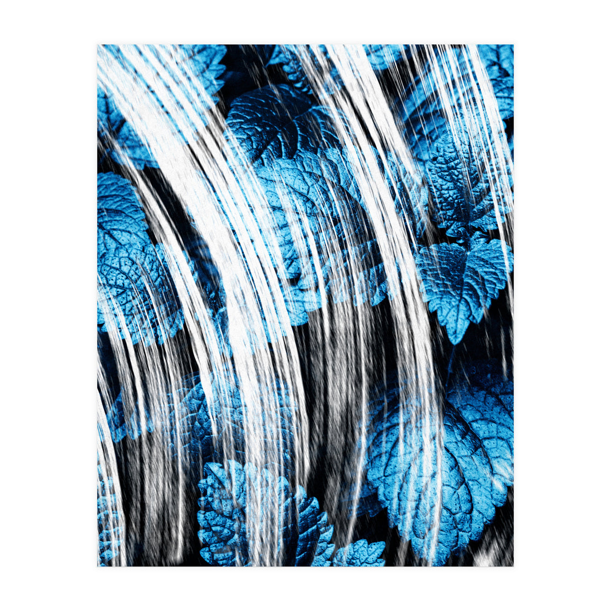 Raining Forest No4 (Print Only)