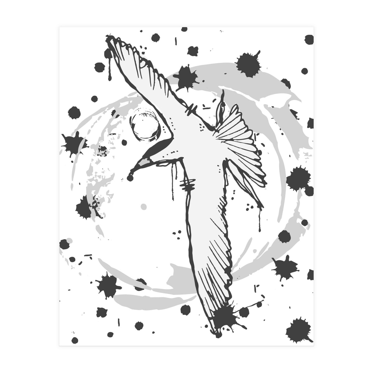 Fairy Tern Sketch (Print Only)
