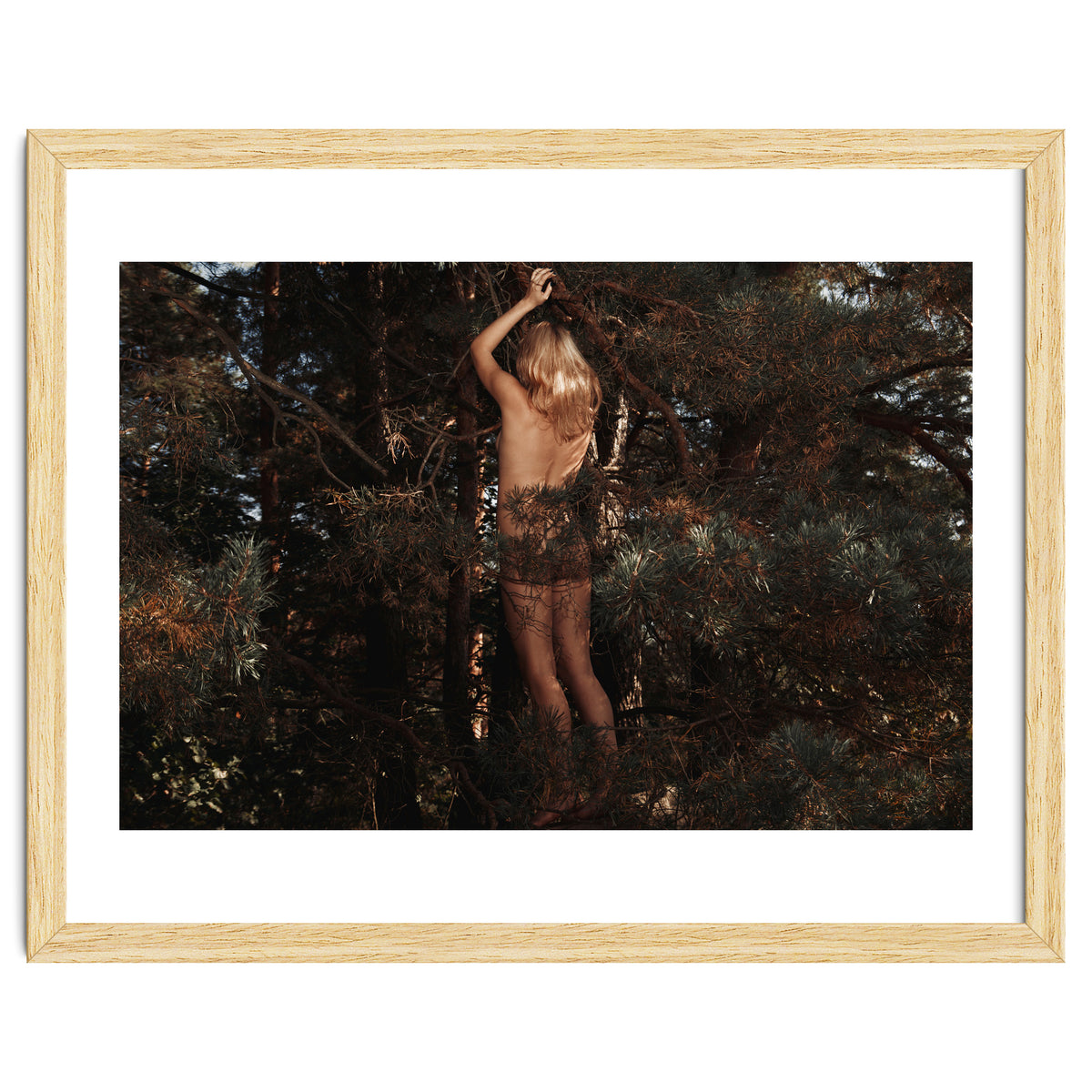 The kids Are all Wild