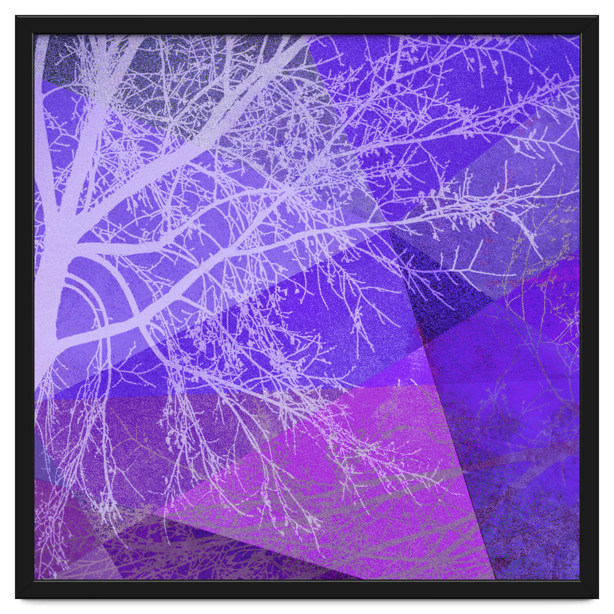 P19-D2 Trees and Triangles