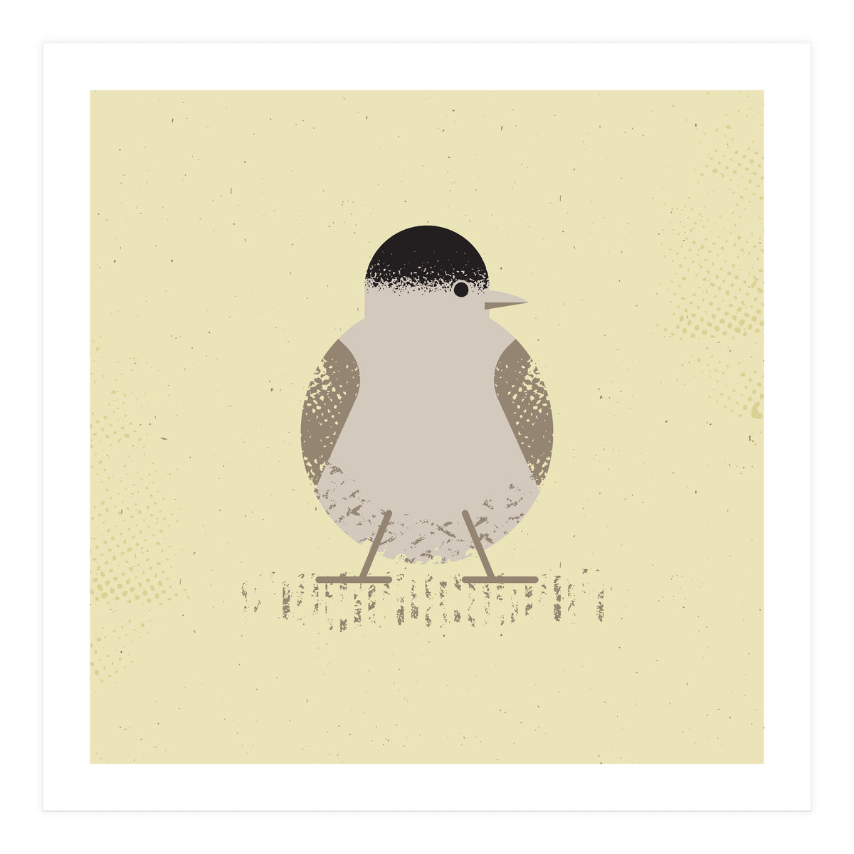 Blackcap 2 (Print Only)
