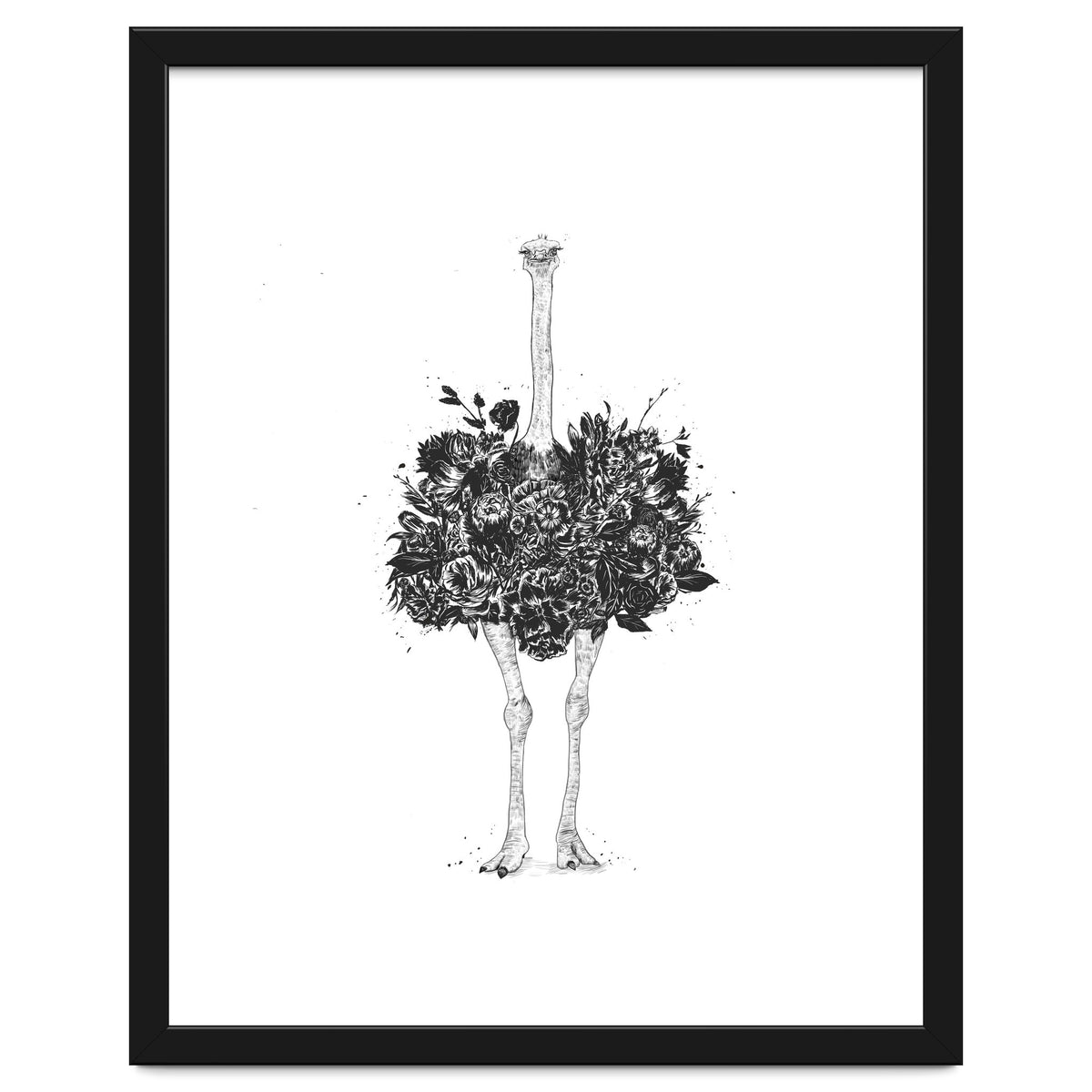 Floral Ostrich