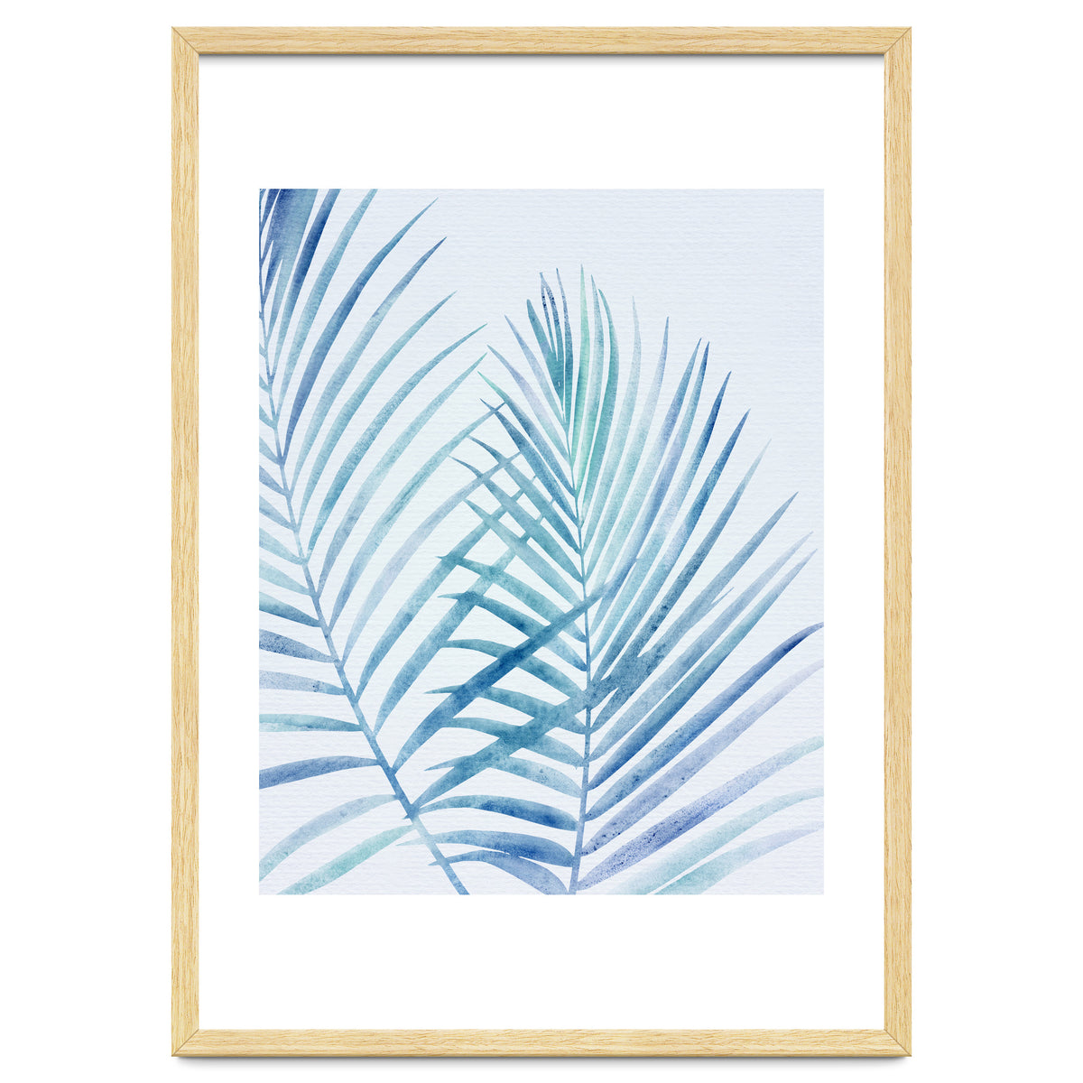 Coastal Palm Fronds