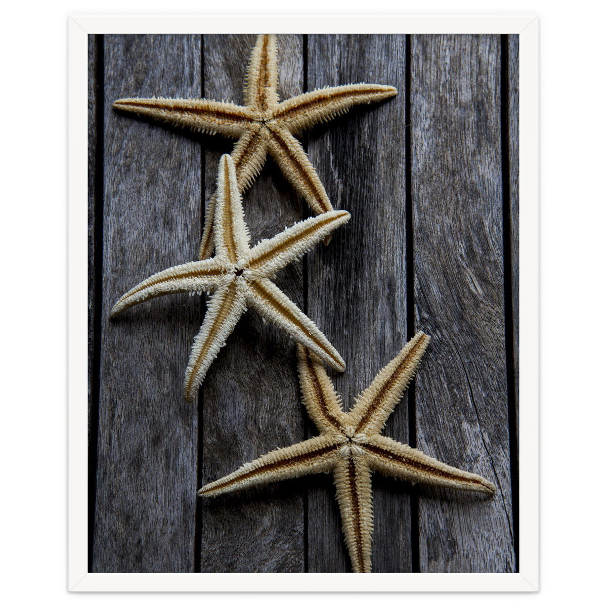 Starfishes in wooden