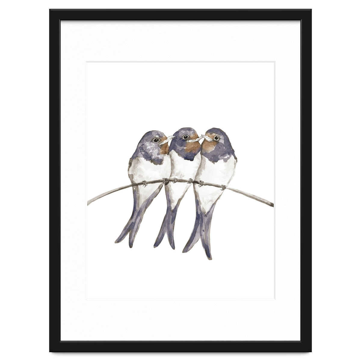 Three young swallows
