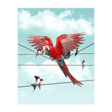 Colorful Stranger (Print Only) thumbnail