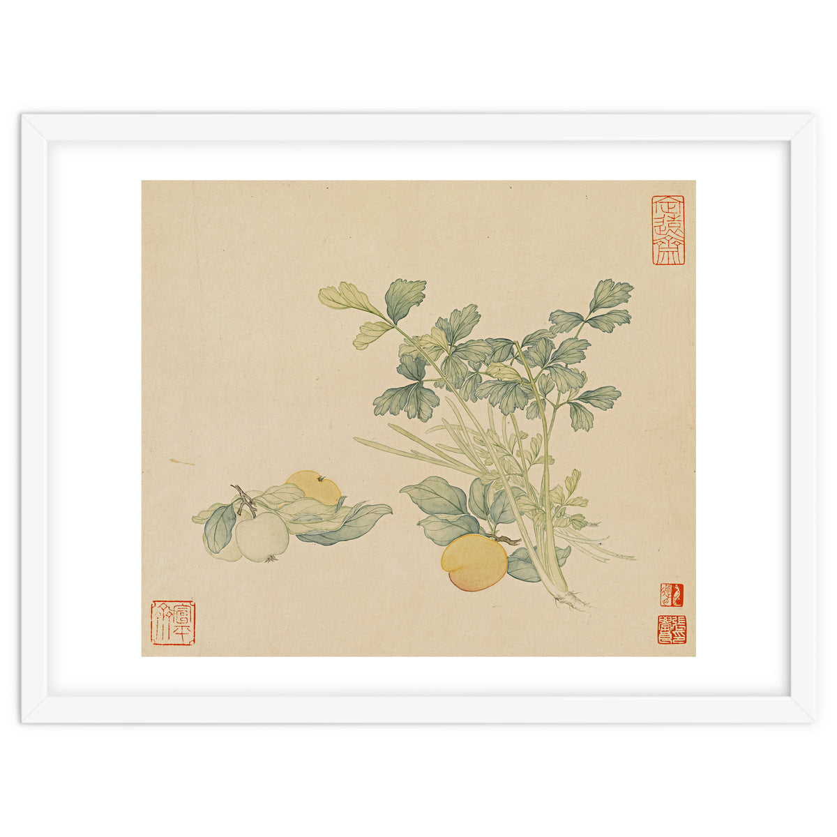 Wang Chengyu~flowers And Vegetables, Vegetables, Fruits, Plums, Apricots, Celery