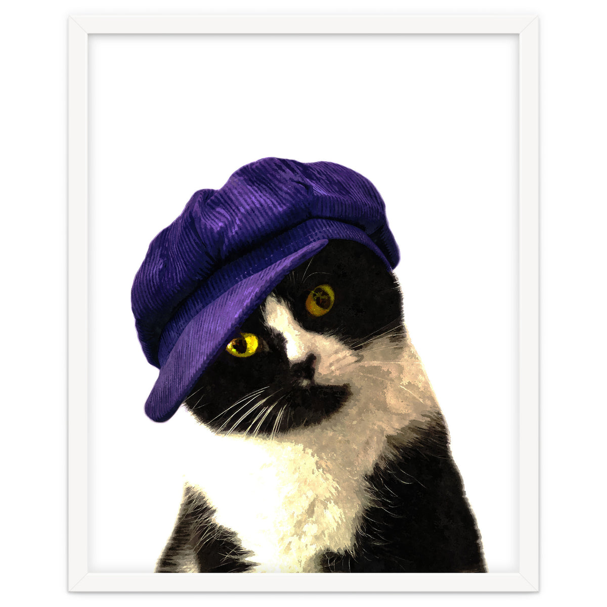 Cat Blue Hat
